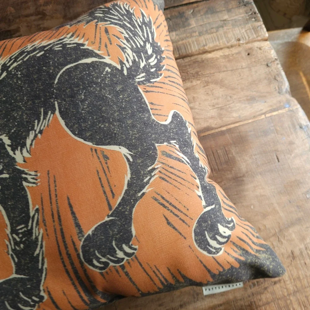 Pottery Barn Halloween Scaredy Black Cat Throw Pillow Orange Print 20